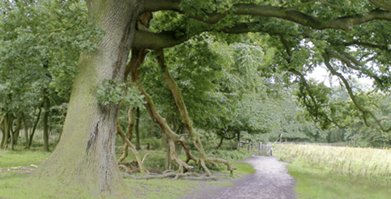 OpstAP-loop 20 november verplaatst naar 27 november