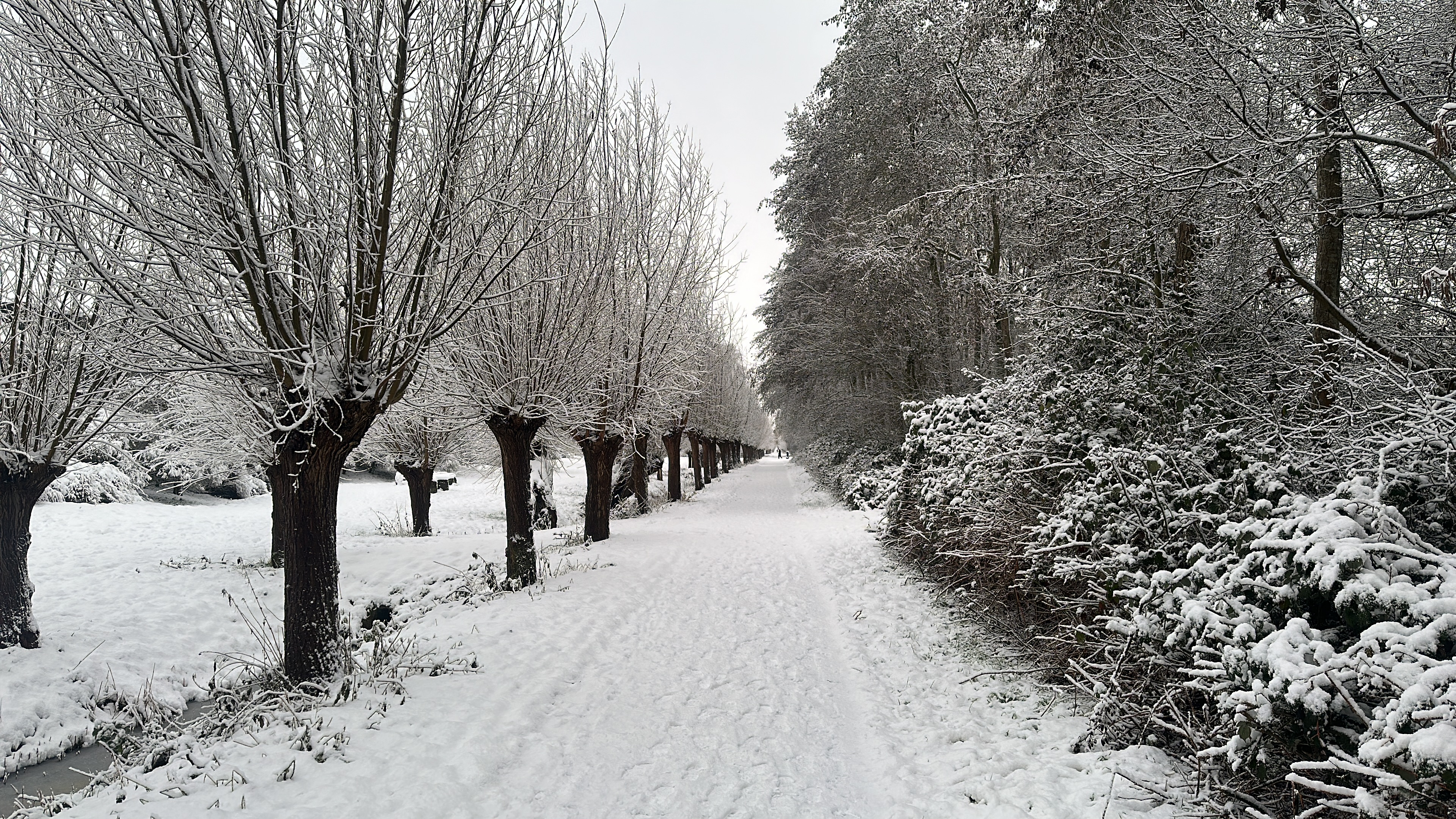 Trainingen afgelast i.v.m. winterse omstandigheden