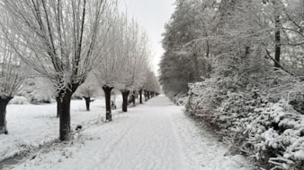 F2020242-886A-4CE3-B80B-5BD7DA98D4BC